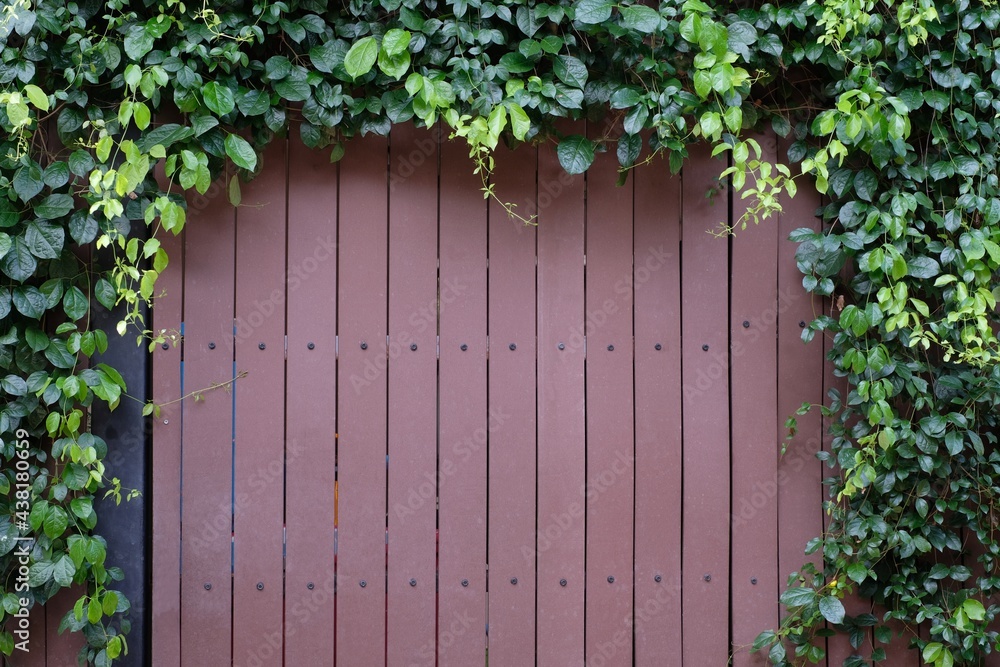 Brown wooden fence gate with green plants background Brown wooden fence gate with green plants background