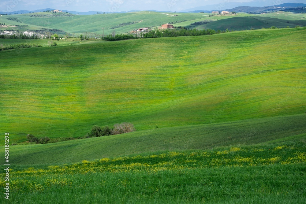 landscape with green grass and blue sky in Tuscany, Italy