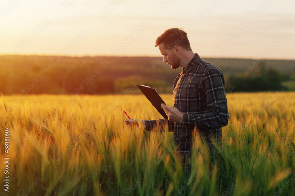 Agricultural engineer at the field inspection. Farmer stands in wheat field with folder in hands checks the harvest.