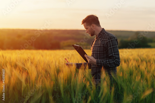 Obraz na płótnie Agricultural engineer at the field inspection. Farmer stands in wheat field with folder in hands checks the harvest. w salonie