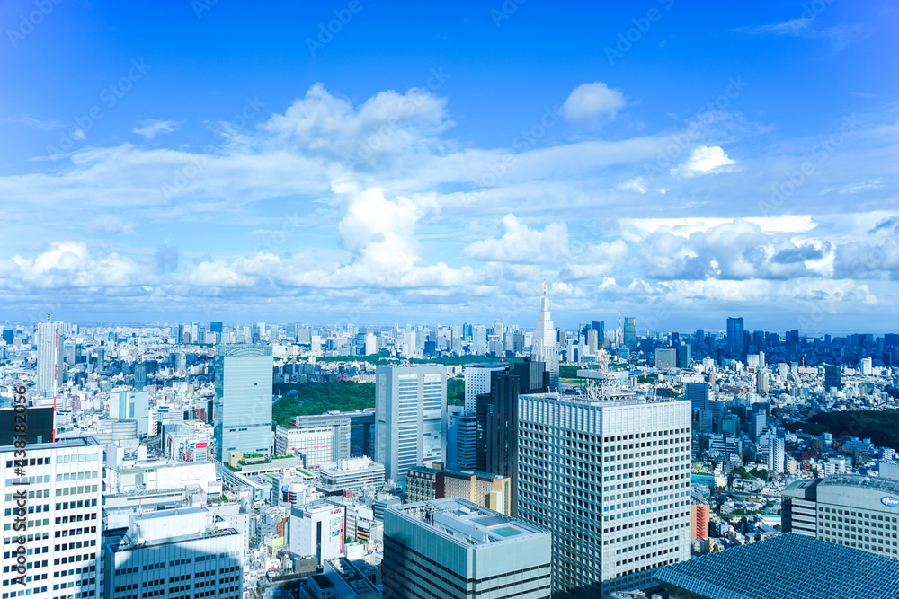 Fototapeta premium 東京風景