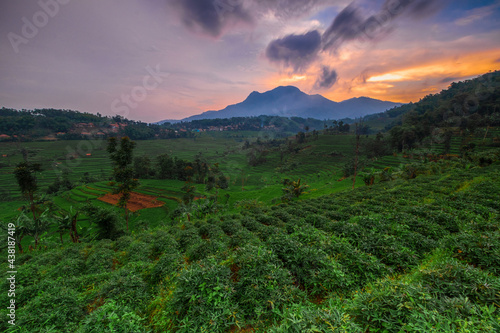 beautiful view of gardens, rice fields and Mount Manglayang in Sukasari - Sumedang. photo