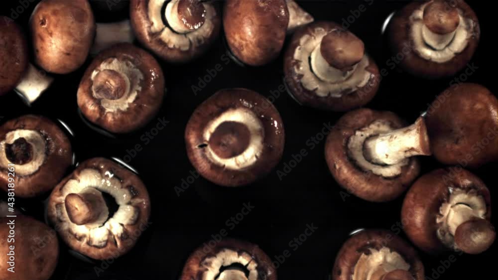 Super slow motion one fresh mushroom falls on the water with splashes.Filmed on a high-speed camera at 1000 fps. On a black background. Super slow motion one fresh mushroom falls on the water with splashes.Filmed on a high-speed camera at 1000 fps. On a black background.