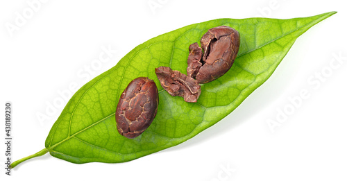 dried cocoa beans on the fresh cocoa leaf, isolated on white background, top view