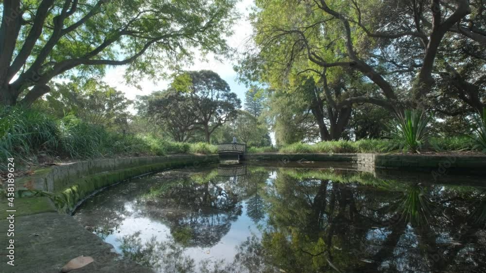 A small lake in Sydney’s Botanical gardens is backdropped by a bridge A small lake in Sydney’s Botanical gardens is backdropped by a bridge