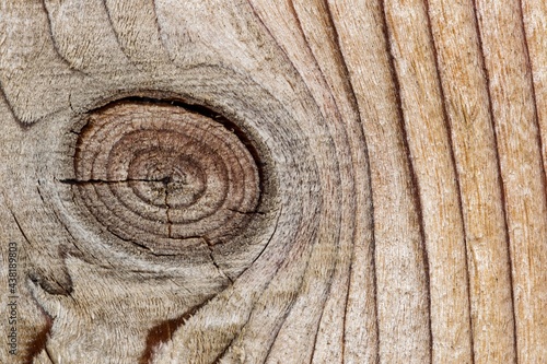 Knothole closeup in a wooden pine fence showing abstract details, patterns and textures. photo