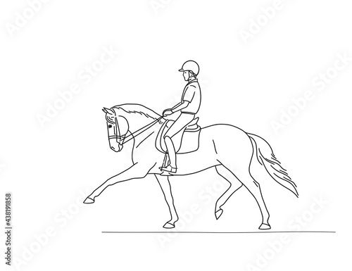 Fototapeta Naklejka Na Ścianę i Meble -  Spanish horse and rider outline illustration