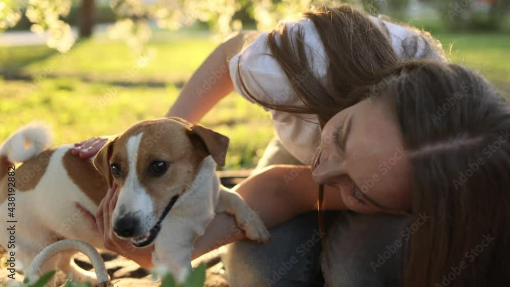 A fun and crazy Jack Russell Terrier dog on a walk. a Caucasian girl in