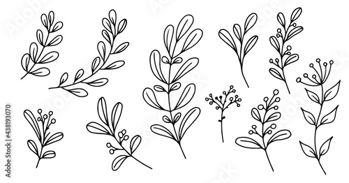 Set of hand-drawn floral elements,doodle plants and branches on a white background. Sketchy elements of design. Vector doodle illustrations.