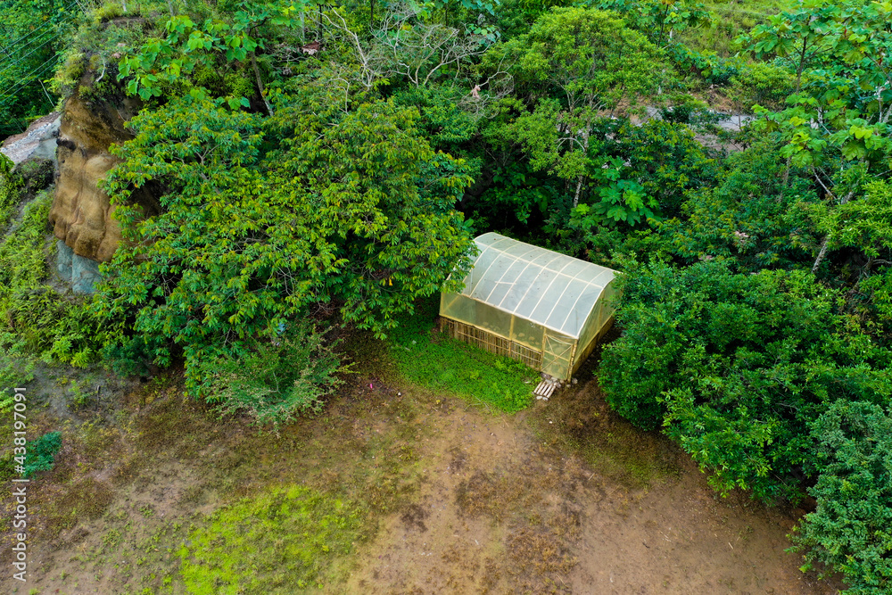 Aerial view of a greenhouse made of bamboo and standing just before the trees in a small clearing