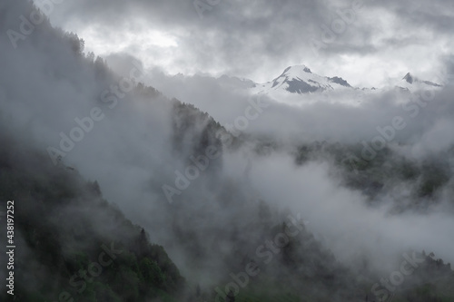Foggy swiss alpine landscape - forest in mist