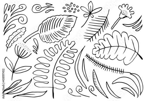 a collection of hand-drawn flower images such as bellflower, chrysanthemums, sunflowers, cotton flowers, and tropical leaves