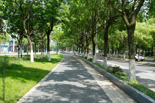 The lush trees and highways outdoors © onlyyouqj