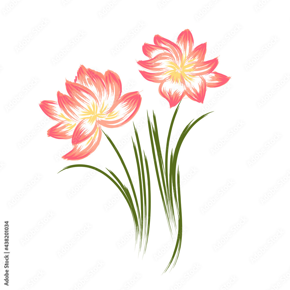 two pink flowers on green stems two pink flowers on green stems