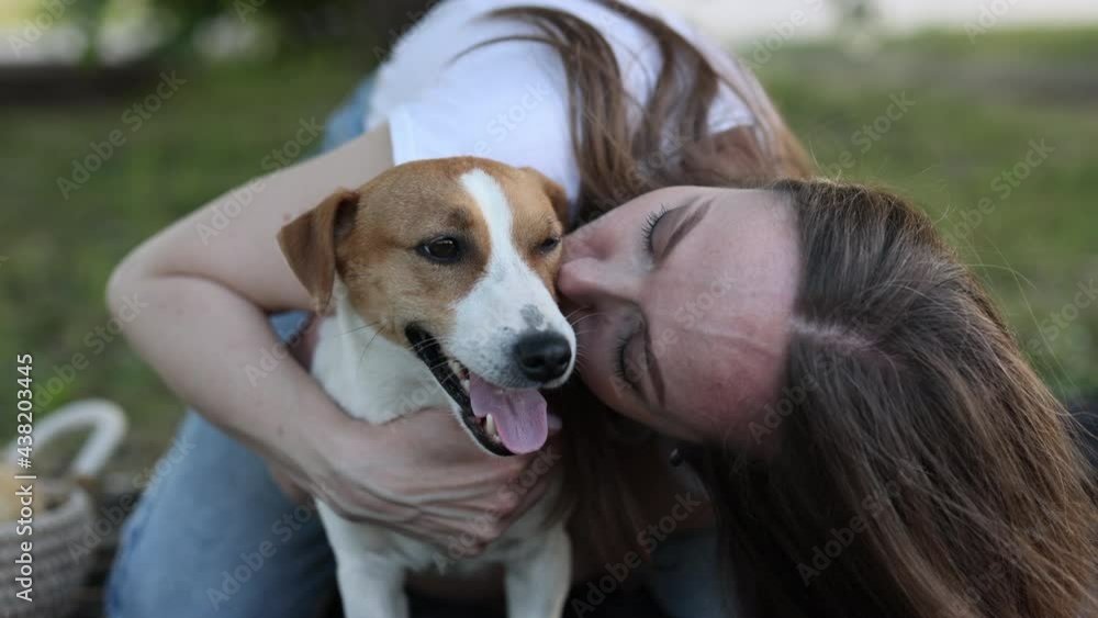A fun and crazy Jack Russell Terrier dog on a walk. a Caucasian girl in a T-shirt and jeans kisses a dog. Glade and green grass, sunny day. The concept of a summer walk. A fun and crazy Jack Russell Terrier dog on a walk. a Caucasian girl in a T-shirt and jeans kisses a dog. Glade and green grass, sunny day. The concept of a summer walk.