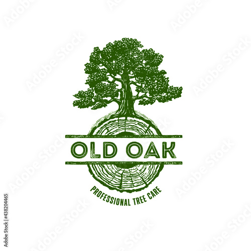 Old Oak Professional Arborist Tree Care Service Organic Eco Sign Concept. Landscaping Design Craft Raw Logo. Rustic Vector Banner Illustration