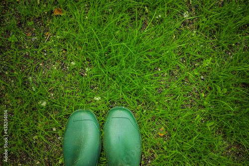 Wachstum von Grassamen im Garten