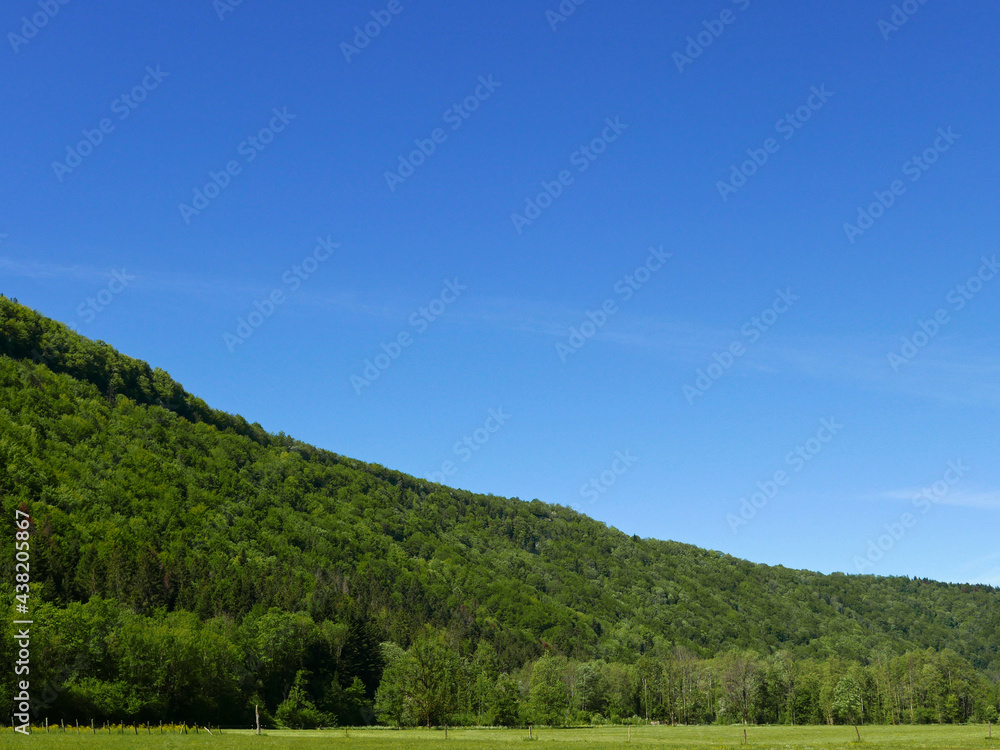 idilliaca vista della verde regione francese del jura