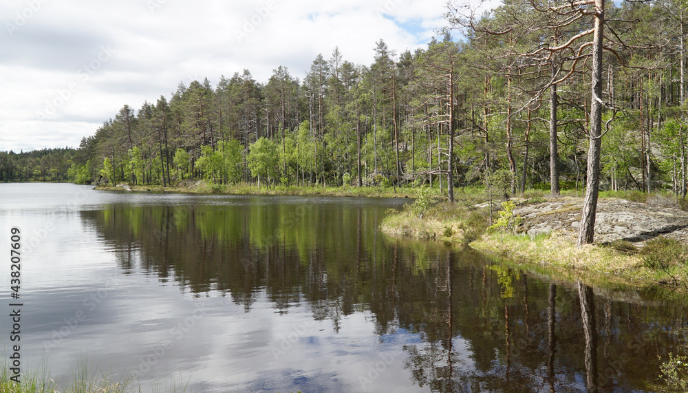Green forest nature landscapes with lakes in the remote Tresticklan National Park of Sweden.
