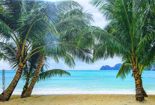 Tropical beach with coconut palm tree and sky background.Island summer sea.Beautiful coast white sand and bluse sea.