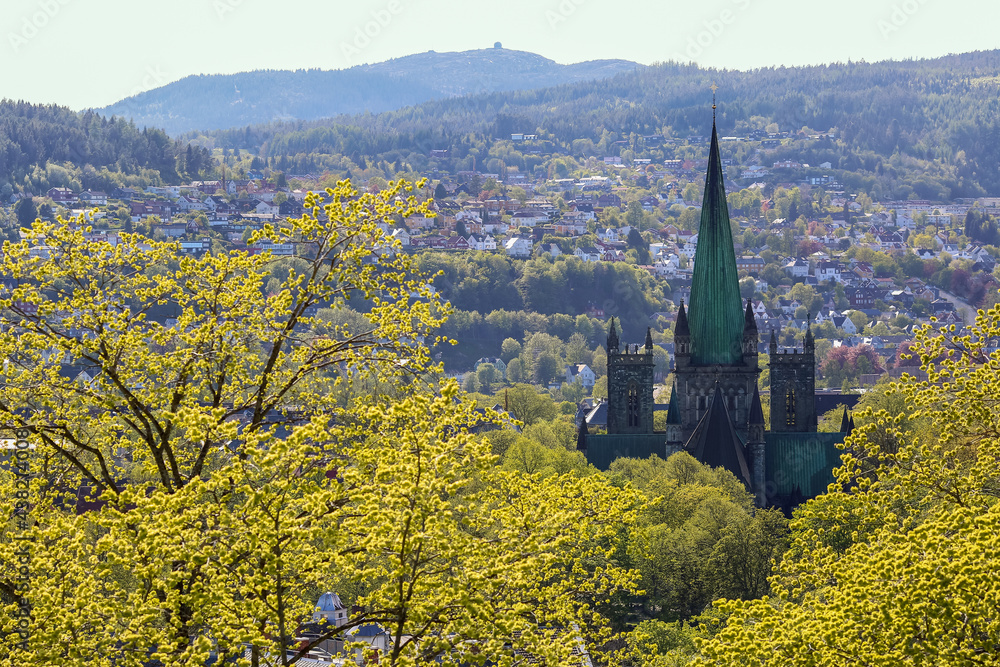 Spring in Trondheim Spring in Trondheim