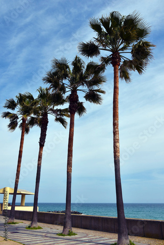 the sea promenade in Albisola Superiore Italy photo