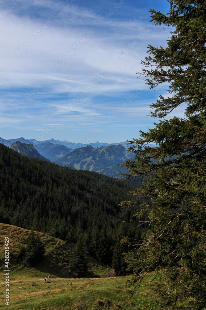 Ausblick in den Allgäuer Alpen