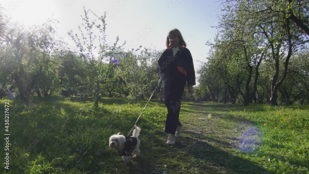 Young blonde haired woman walks with dog in park, . A bright sunny day. The concept of friendship, care, human and animal Help