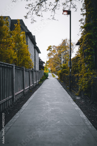 The narrow lane of Park © Nelson