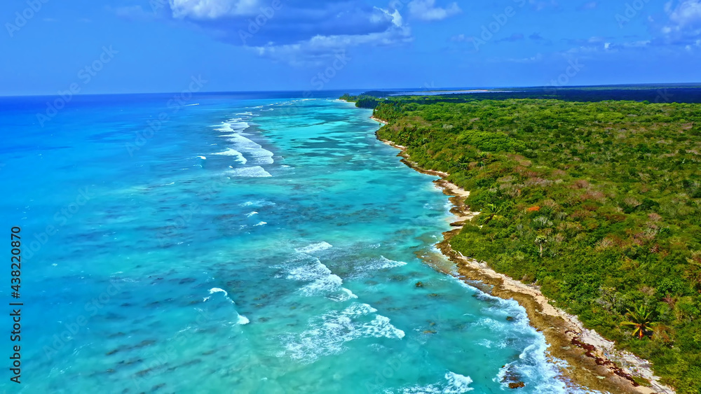 Ocean Tropical Beach Forest Landscape Caribbean Palms Lagoon
