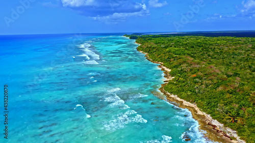 Ocean Tropical Beach Forest Landscape Caribbean Palms Lagoon