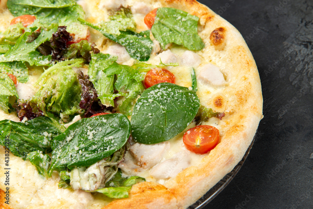 pizza with chicken, herbs, tomatoes and cheese. pizza with chicken, herbs, tomatoes and cheese.