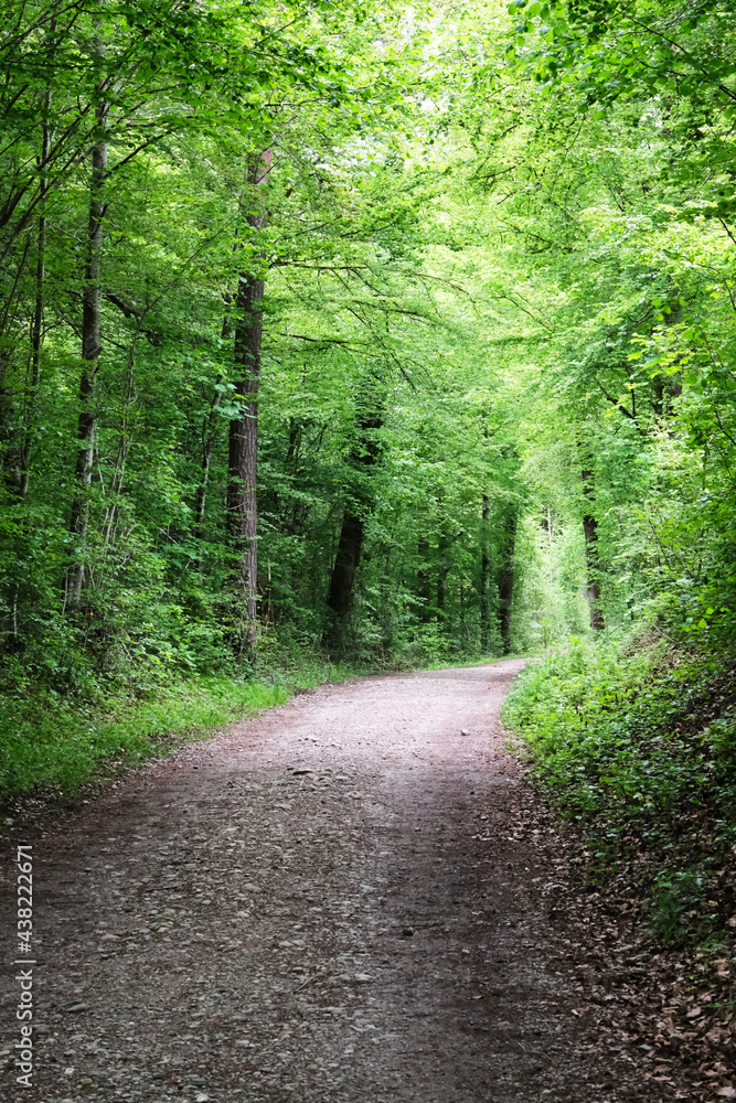 Fototapeta premium Husemersee