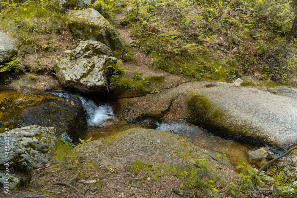 arroyo entre las rocas en el bosque, riachuelo arroyo entre las rocas en el bosque, riachuelo