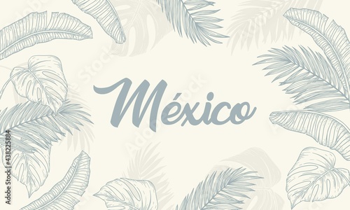 Vectores de hojas y palmeras con texto sobreimpreso. México.