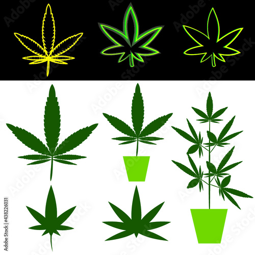 cannabis leaf vector illustration