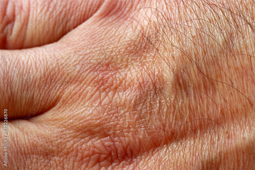 close-up hand of a person