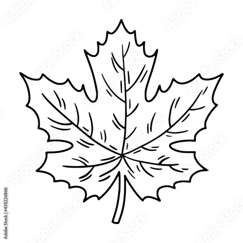 Linear maple leaf icon in Doodle style, Canadian tree