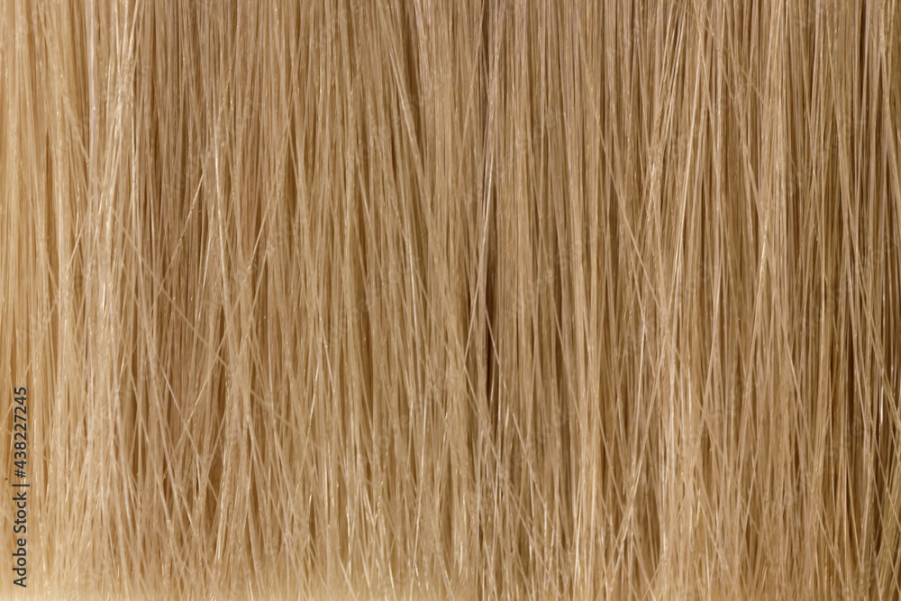 Naklejka premium close-up, blonde natural hair.palette for choosing a shade of paint. High quality photo