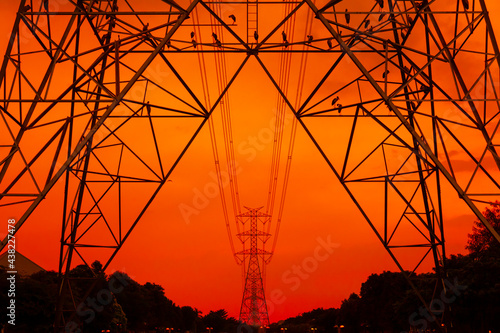 The structure of the high voltage pole and the bird