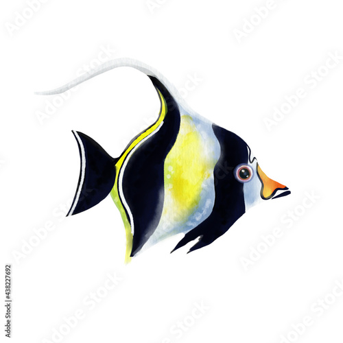 Moorish idol tropical fish isolated on white background. Zanclus cornutus. photo