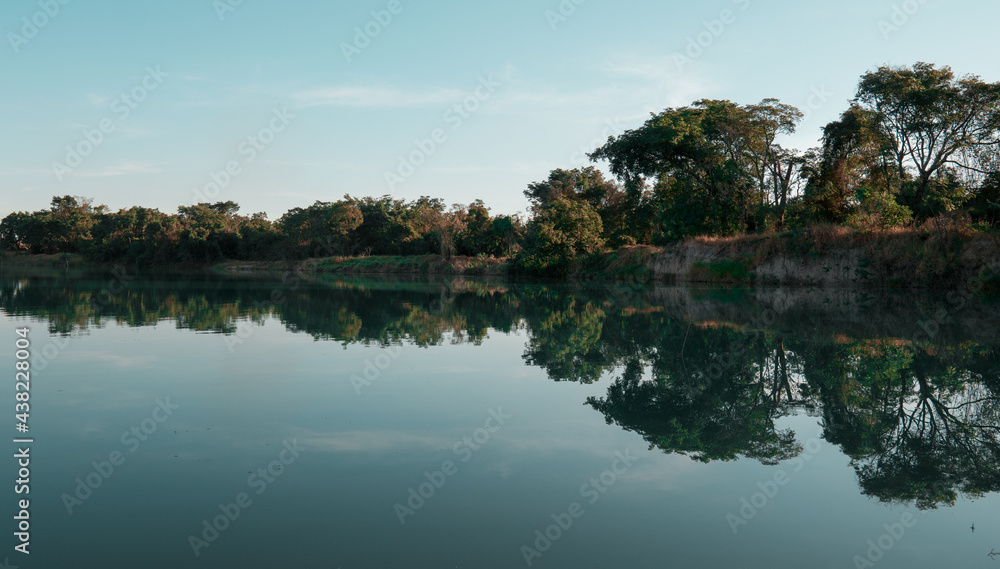 
Reflection of trees in a pond
