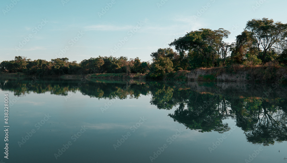 Reflection of trees in a pond
Reflection of trees in a pond