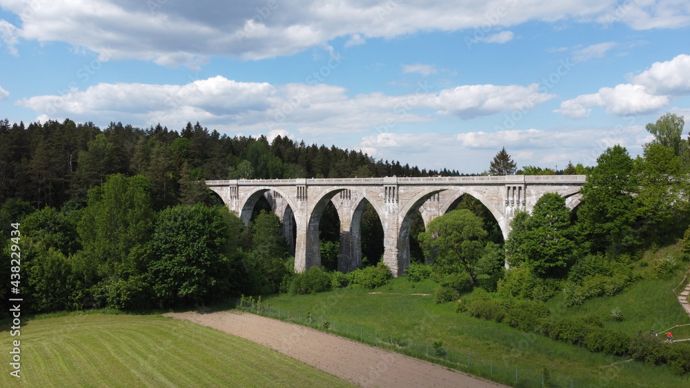 Fototapeta premium bridge between the trees green