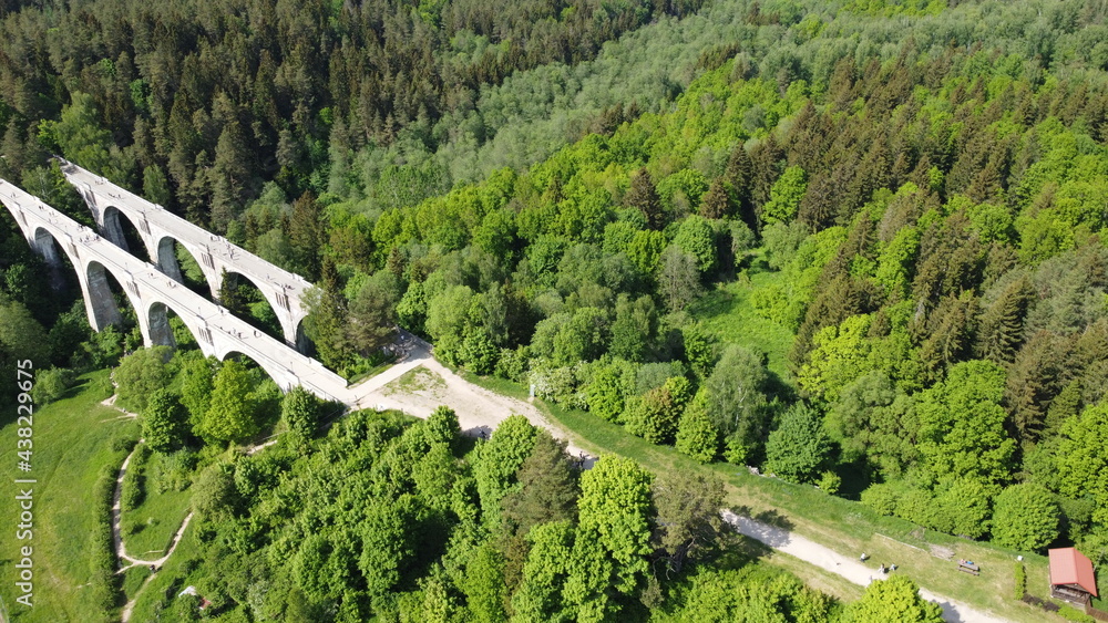 bridge between the trees green