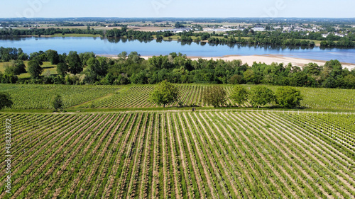 Photos Aerial view of a vineyard in Maine et Loire, France