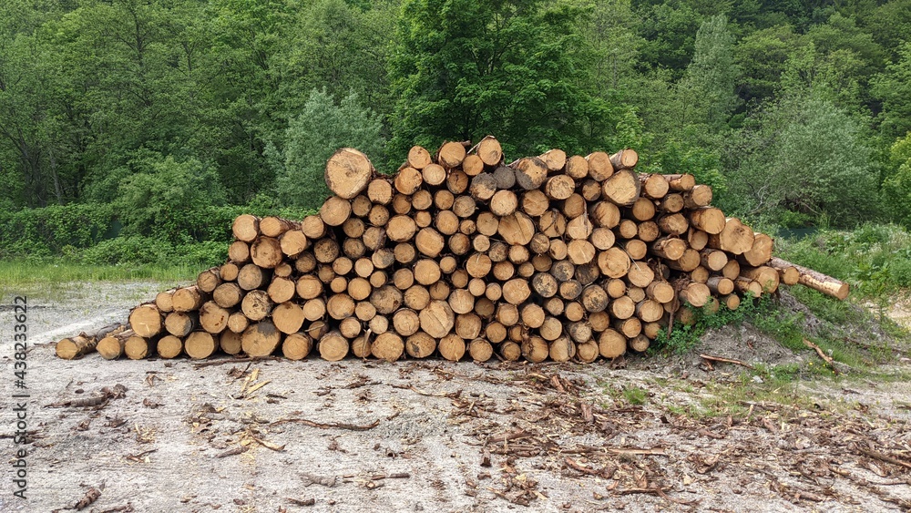 Holzstapel, Fichtenholz, Baustoffmangel