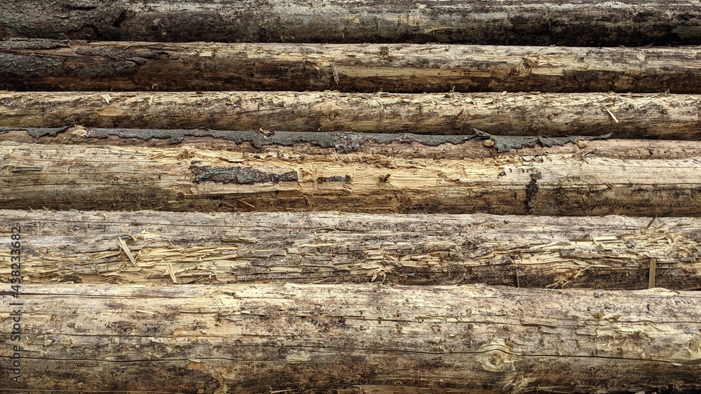 Holzstapel, Fichtenholz, Baustoffmangel Holzstapel, Fichtenholz, Baustoffmangel