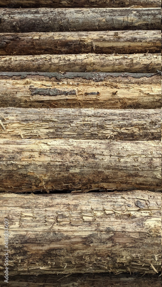 Holzstapel, Fichtenholz, Baustoffmangel Holzstapel, Fichtenholz, Baustoffmangel