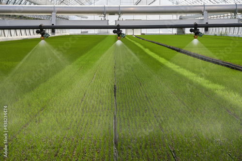 system in a greenhouse 